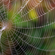 Imagen: Zsolt Biczo / Shutterstock